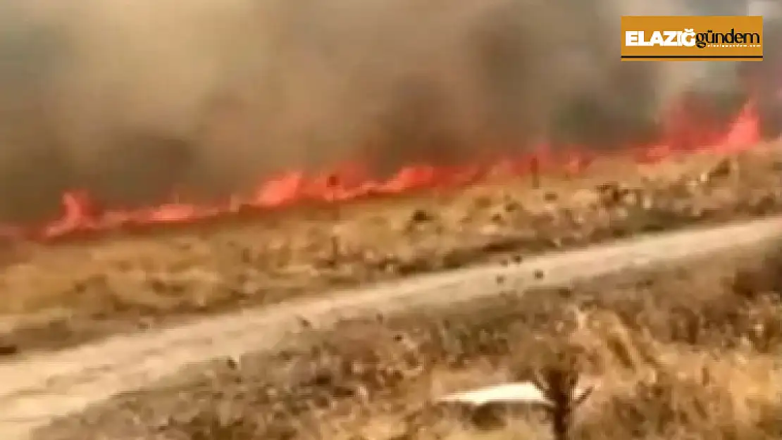 Elazığ'da korkutan yangın: 10 dönüm alan zarar gördü