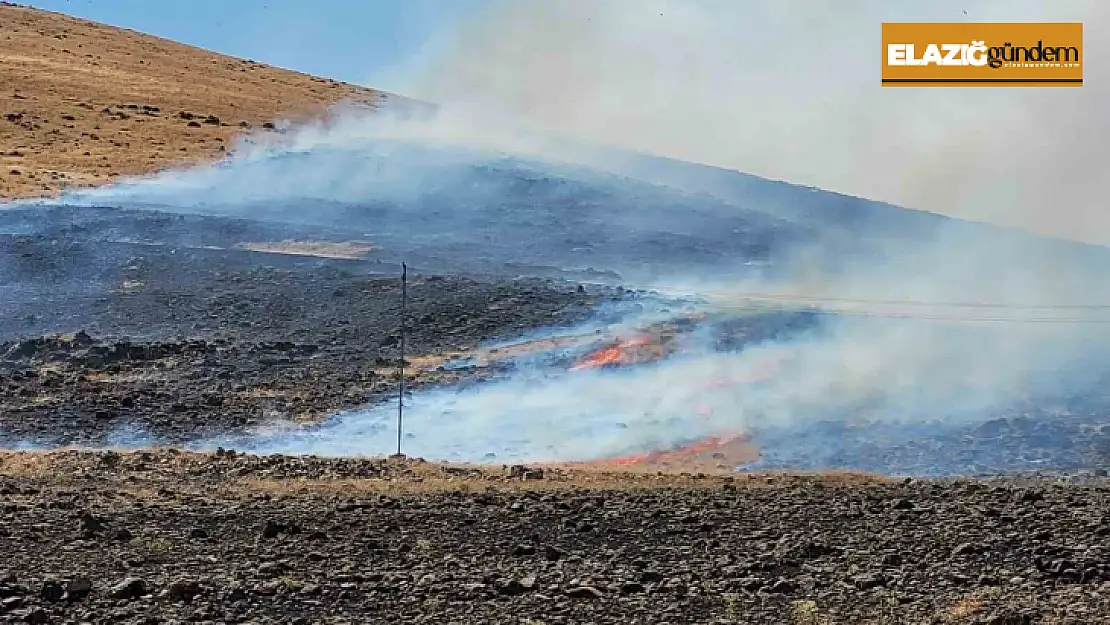 Elazığ'da korkutan yangın