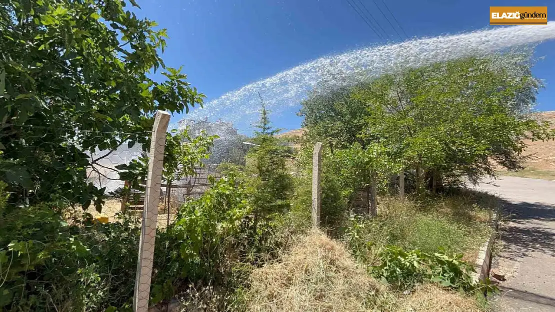 Elazığ'da korkutan yangın