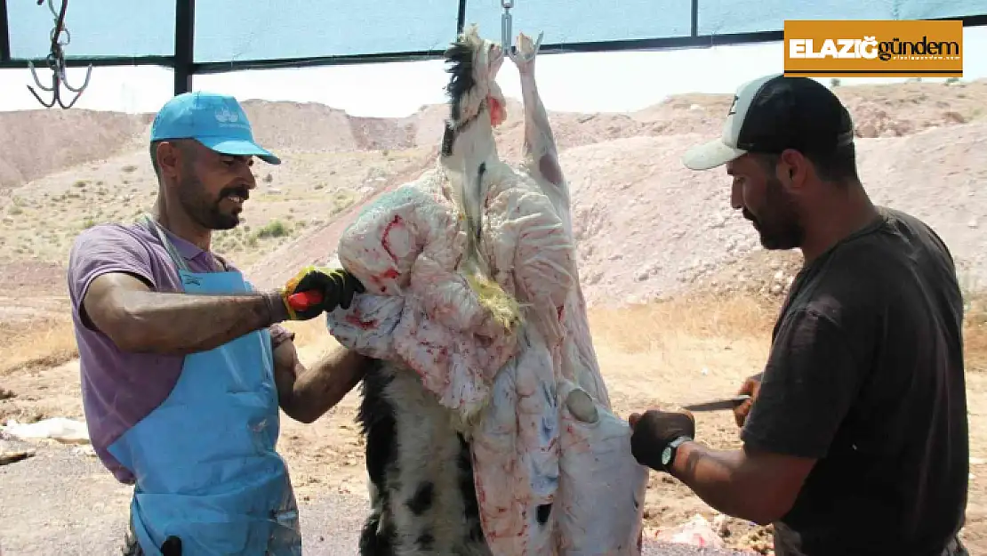 Elazığ'da kurban kesimi ikinci gününde de devam etti