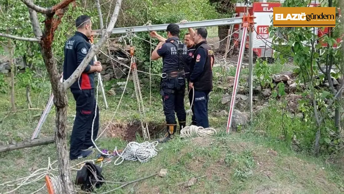 Kuyuya düşen inek kurtarıldı