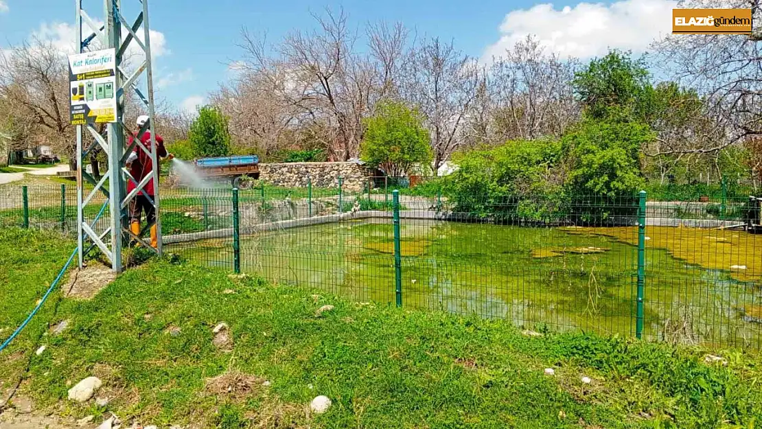 Elazığ'da larva ilaçlama çalışmaları sürüyor