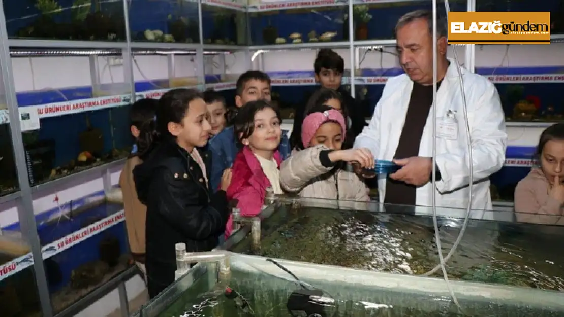 Elazığ'da öğrenciler Balık Müzesini gezdi