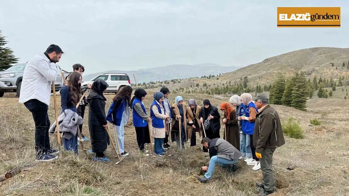 Elazığ'da öğrenciler fidan dikim etkinliğinde buluştu