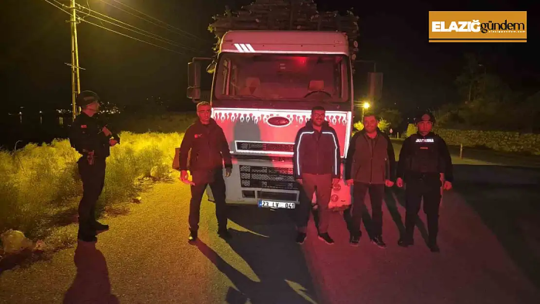 Elazığ'da orman suçlarıyla mücadelede sıkı denetim