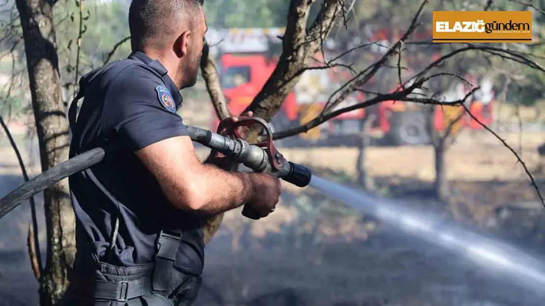 Elazığ'da örtü ve bahçe yangını