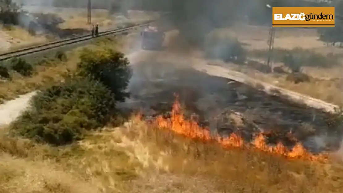 Elazığ'da ot yangını