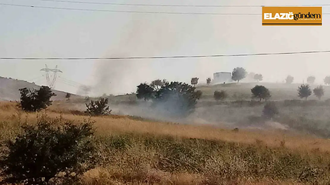 Elazığ'da ot yangını