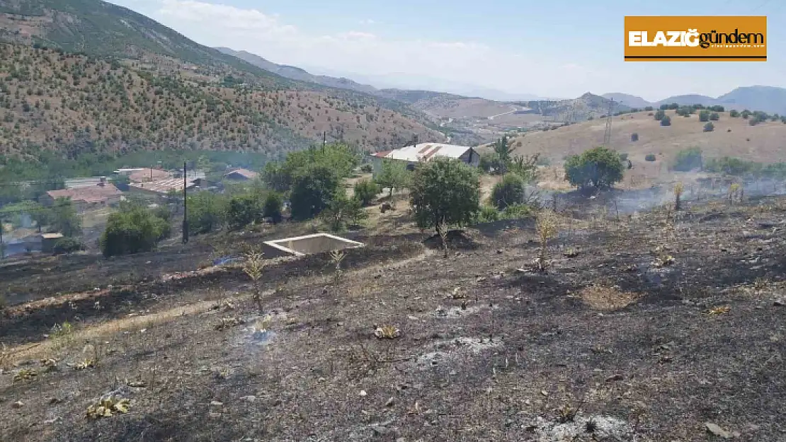 Elazığ'da ot yangını