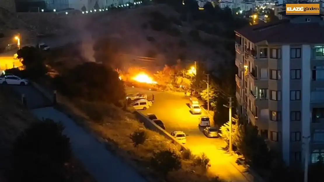 Elazığ'da ot yangını