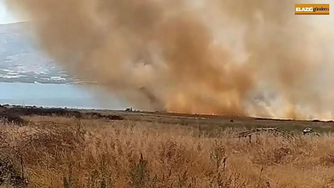 Elazığ'da otluk alanda çıkan yangın korkuttu
