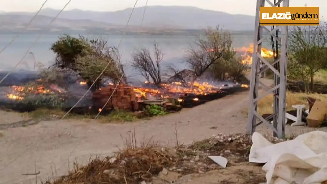 Elazığ'da otluk alanda yangın