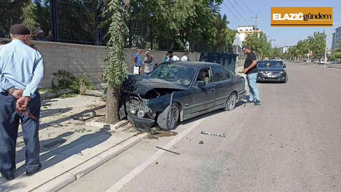 Elazığ'da otomobil ağaca çarptı: 1 yaralı