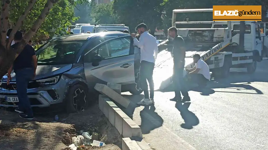 Elazığ'da otomobil ağaca çarptı: 1 yaralı