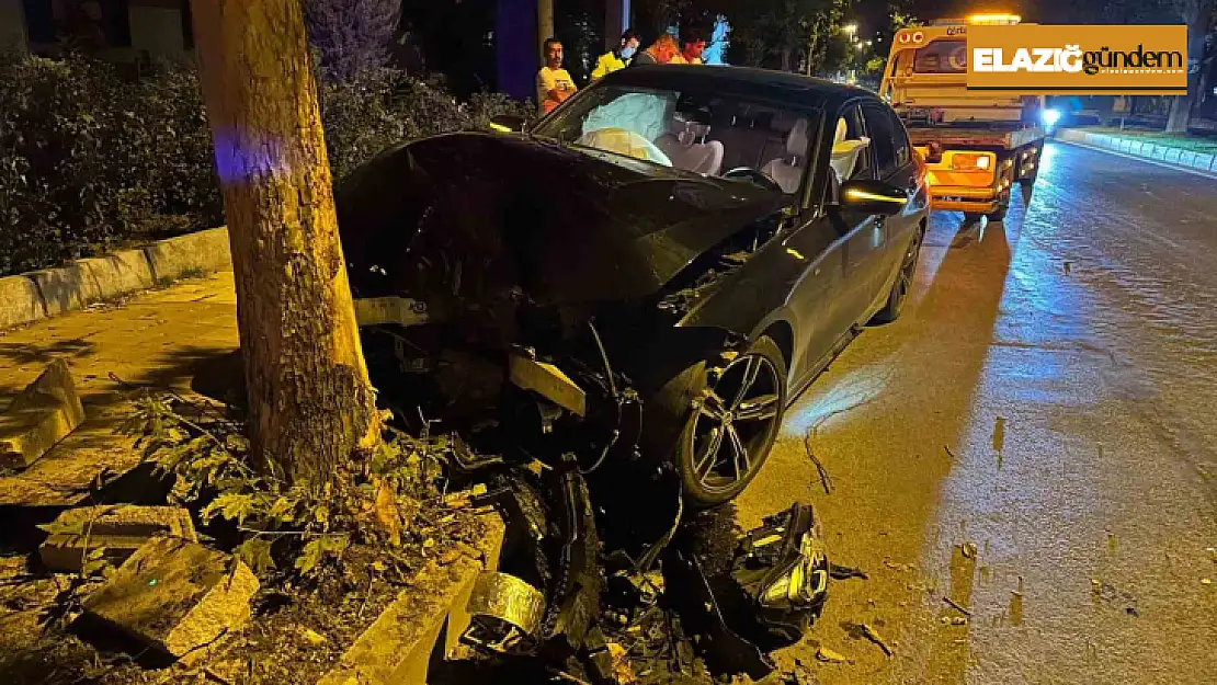 Elazığ'da otomobil ağaca çarptı: 1 yaralı