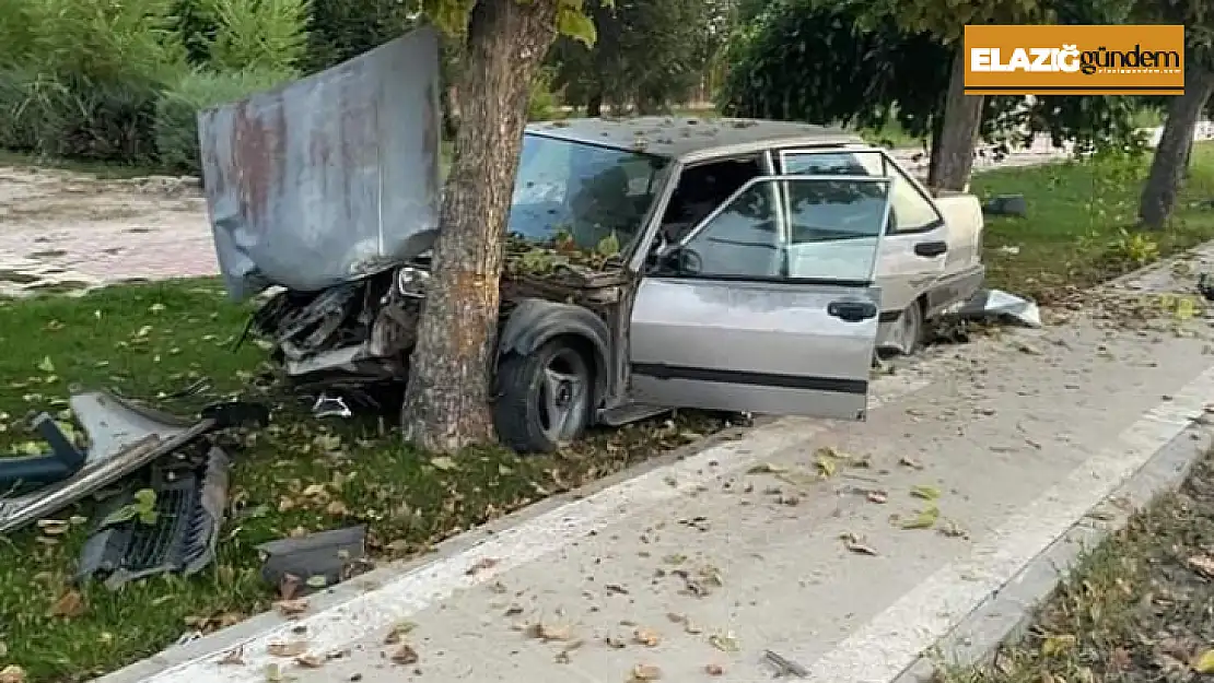 Elazığ'da otomobil ağaca çarptı: 1 yaralı