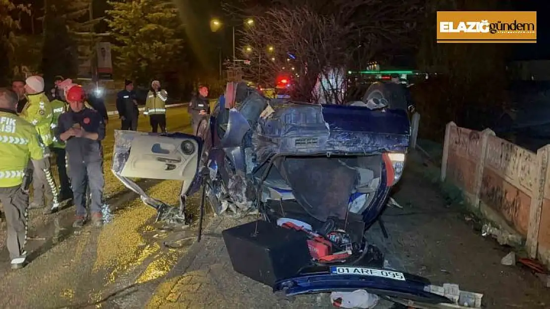 Elazığ'da otomobil ağaçları devirip takla attı: 2 ağır yaralı