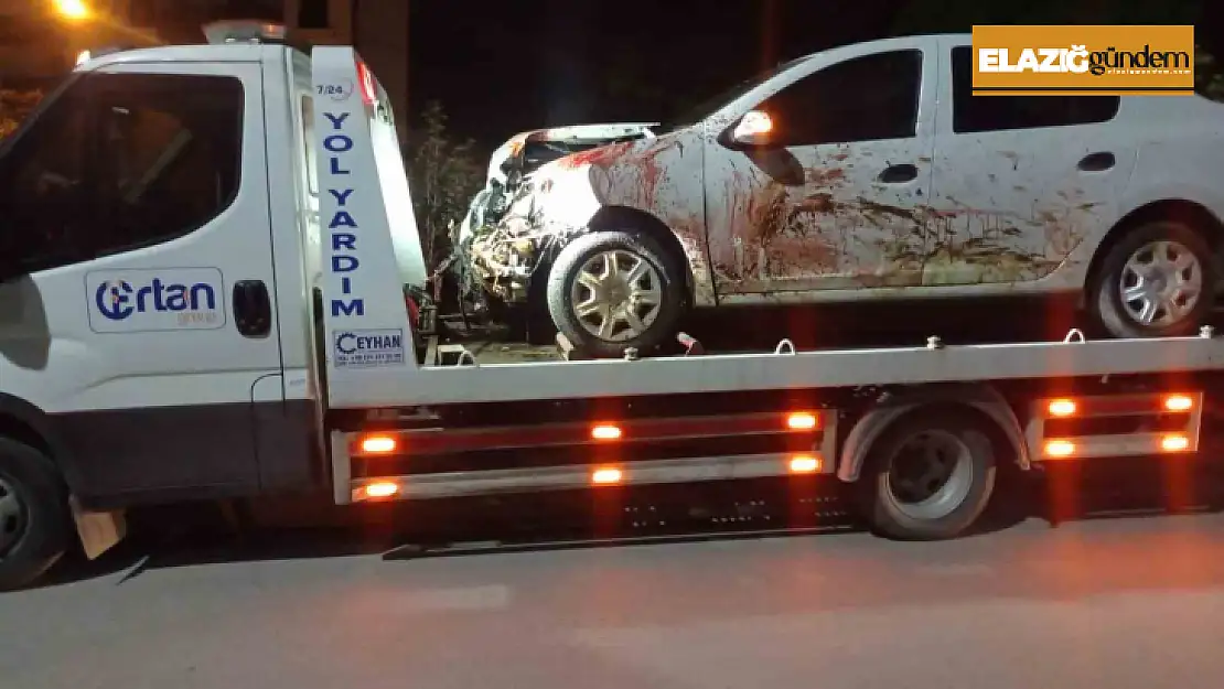Elazığ'da otomobil koyun sürüsüne daldı: 2 yaralı