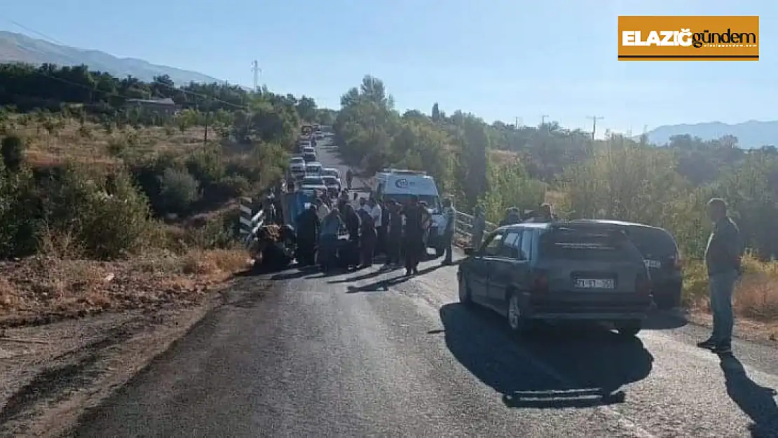 Elazığ'da piknik etkinliği faciaya neden oldu: 3'ü ağır 14 yaralı