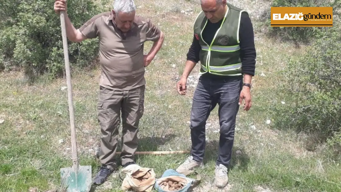 Elazığ'da salep soğanı toplayan 8 kişiye 3 milyon 100 bin lira ceza