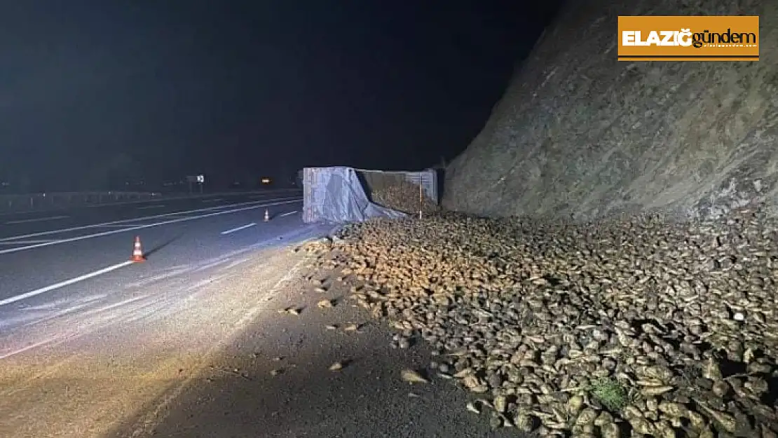 Elazığ'da şeker pancarı yüklü tır devrildi: 1 yaralı