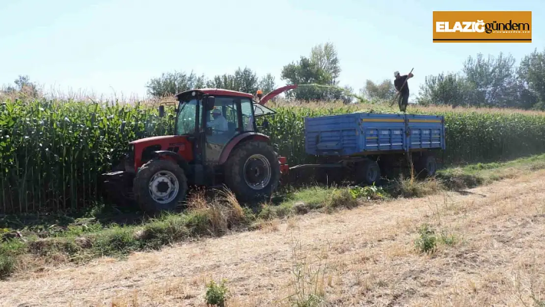 Elazığ'da silajlık mısır hasat etkinliği düzenlendi