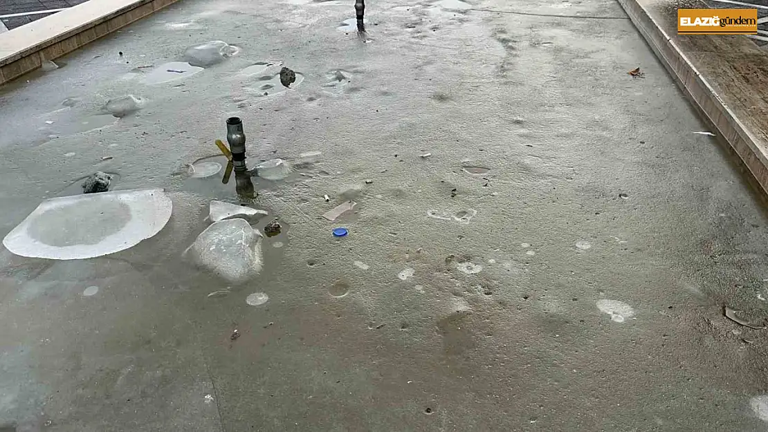 Elazığ'da soğuk hava ve don etkili oldu, süs havuzları buz tuttu