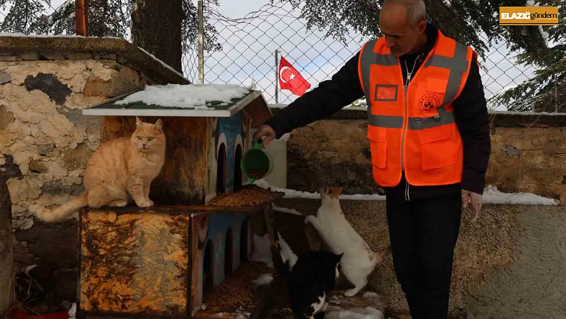 Elazığ'da sokak hayvanları için doğaya yem bırakıldı