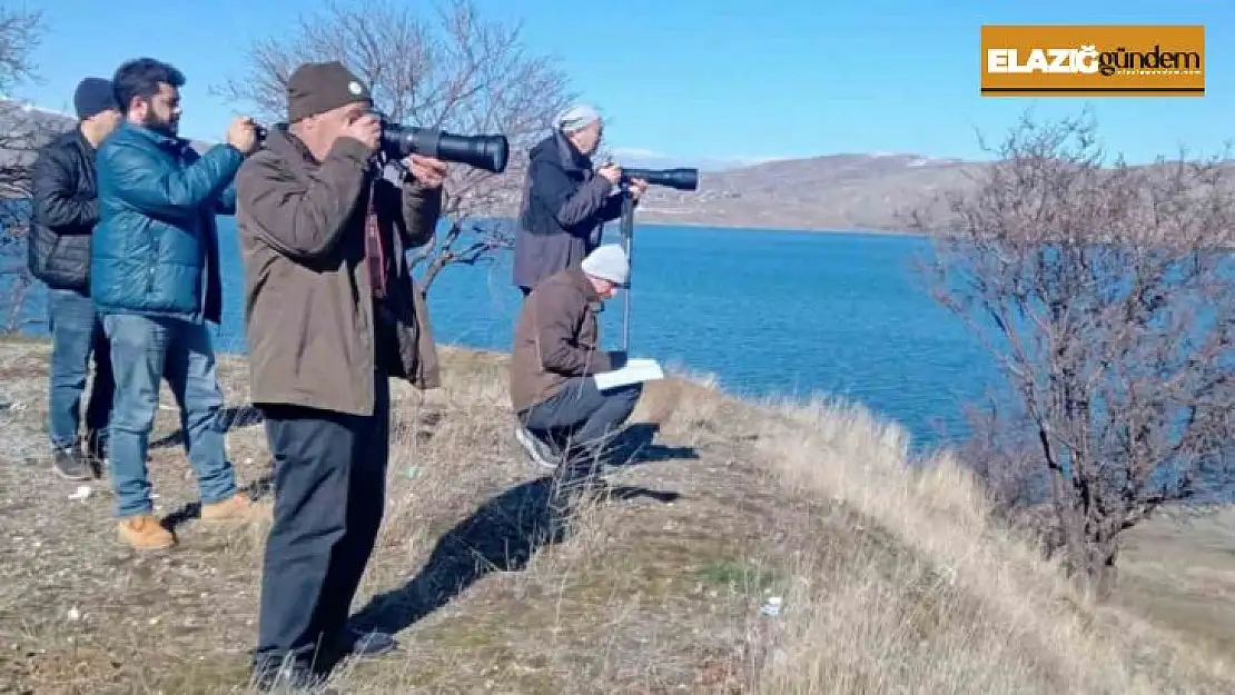 Elazığ'da su kuşu popülasyonunun tespiti için çalışma yapıldı