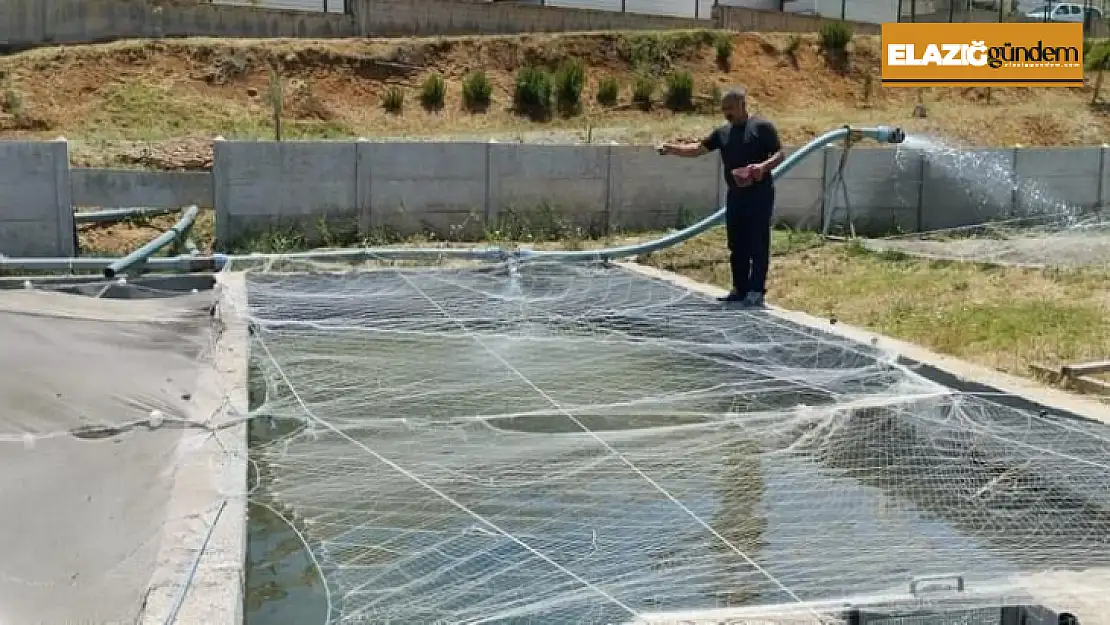 Elazığ'da Su Ürünleri AR-GE Merkezinde üretim çalışmaları sürüyor