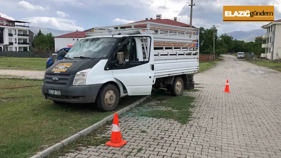 Elazığ'da sürü otlatma kavgası: 1 yaralı