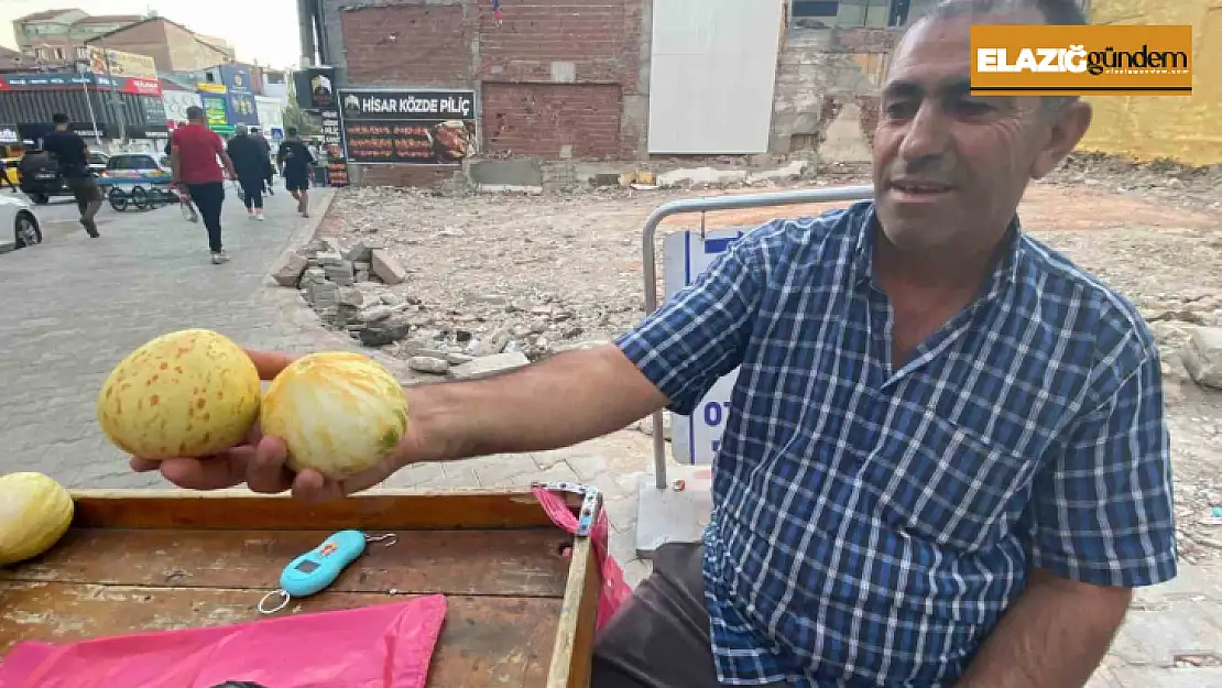 Elazığ'da susuz yetişen Kultik kavunu tezgahlarda