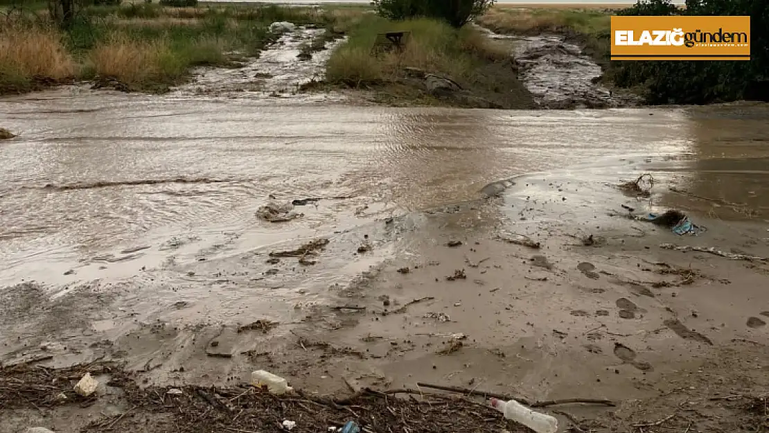 Elazığ'da tarım arazilerini sel vurdu