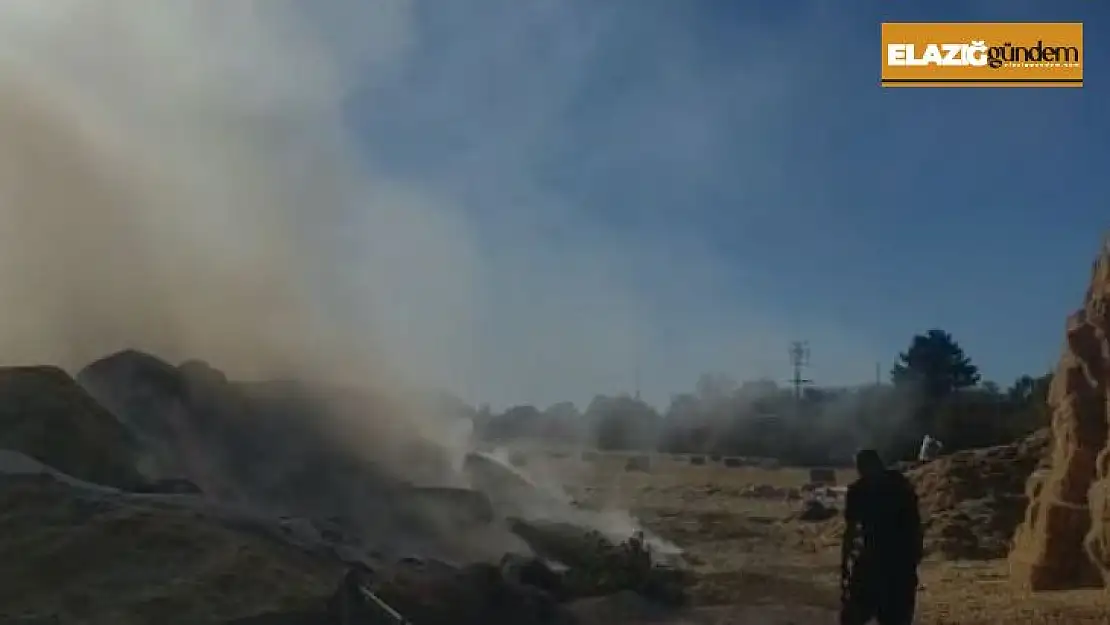 Elazığ'da tonlarca saman balyası kül oldu