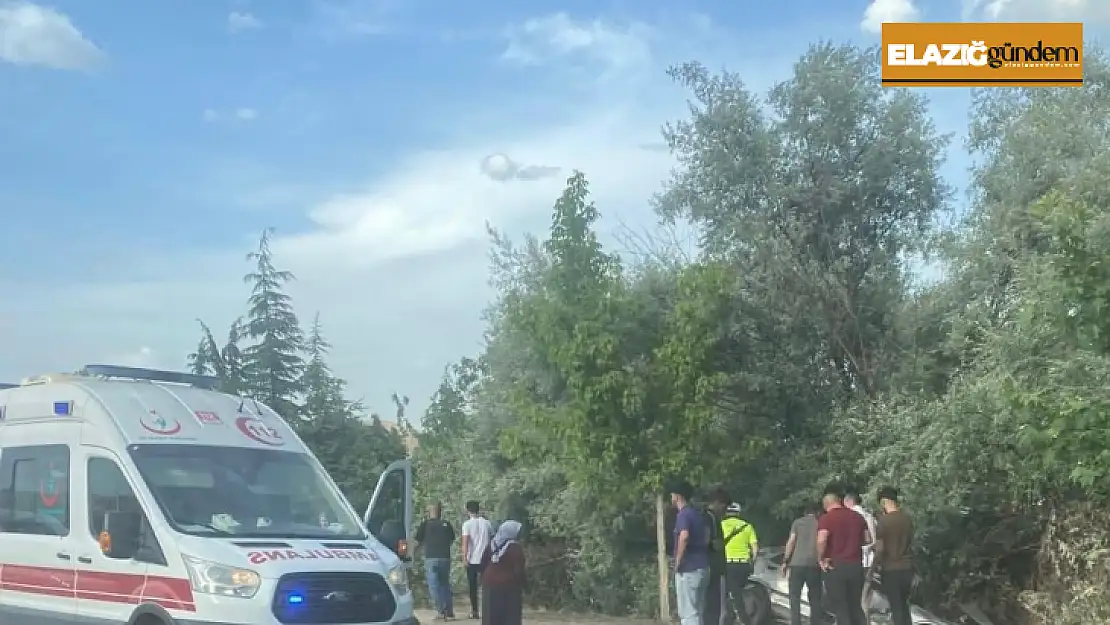 Elazığ'da trafik kazası: 2 yaralı