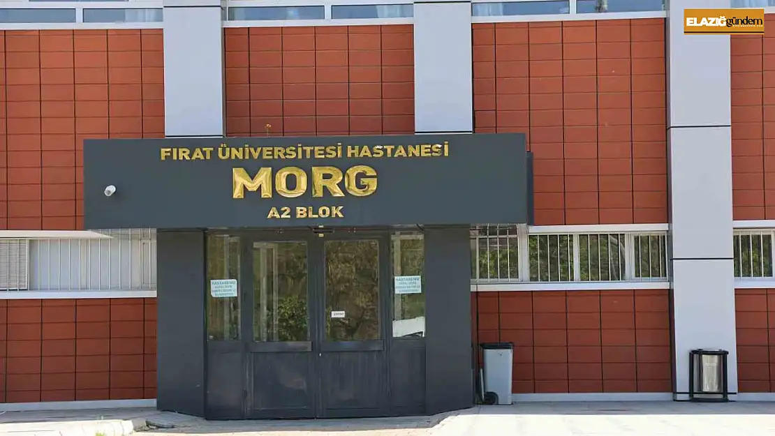 Elazığ'da uçurumdan düşen genç hayatını kaybetti