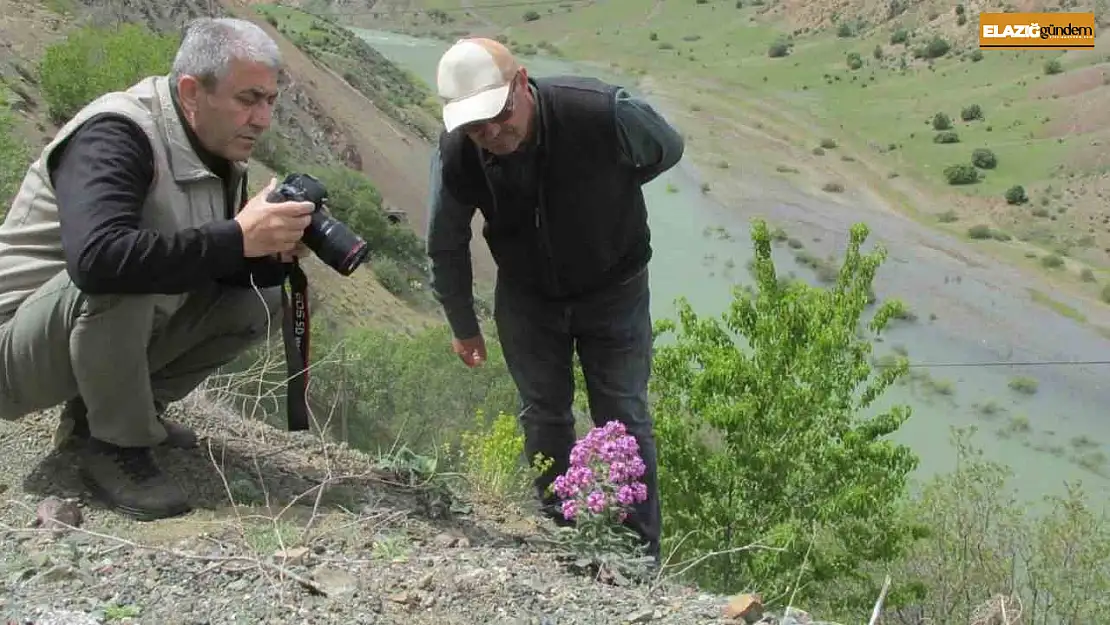 Elazığ'da Ulusal Biyolojik Çeşitlilik ve Envanter İzleme Projesi çalışması