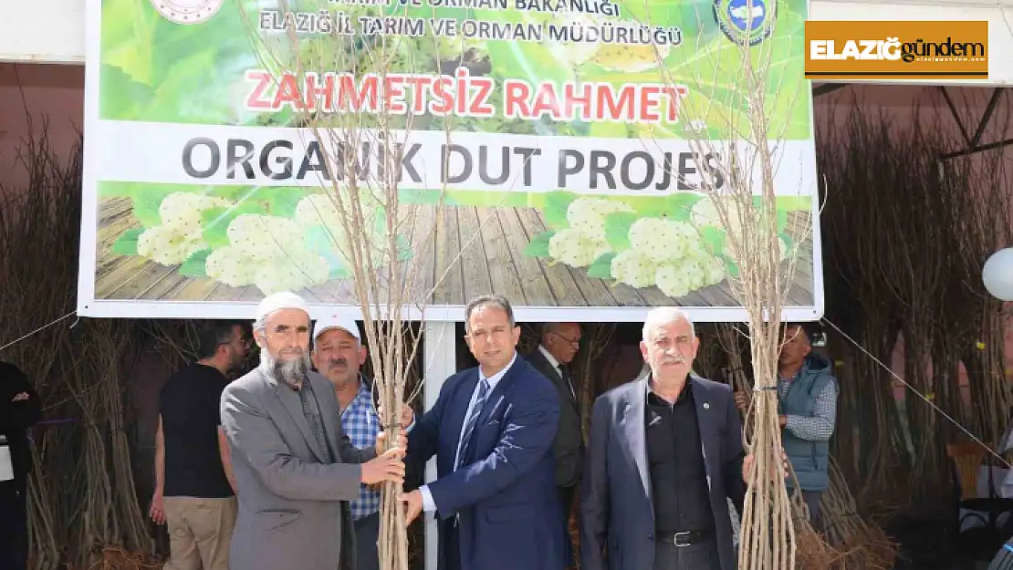 Elazığ'da üreticilere bin 400 adet dut fidanı dağıtıldı