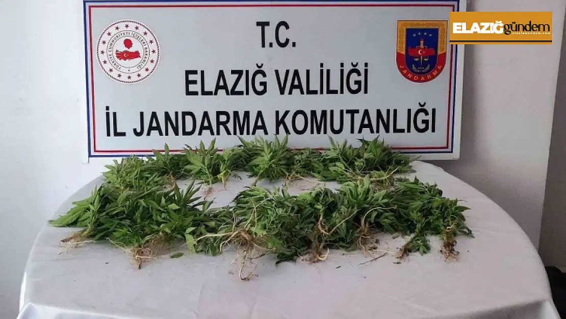 Elazığ'da uyuşturucu operasyonu