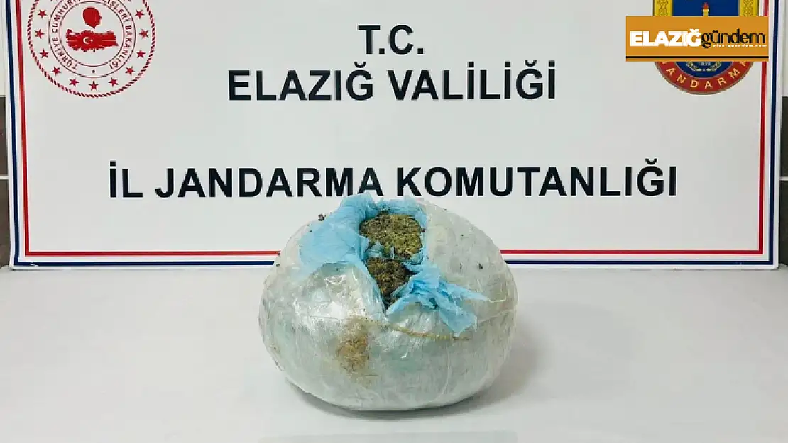 Elazığ'da uyuşturucuya geçit yok: 1 tutuklama