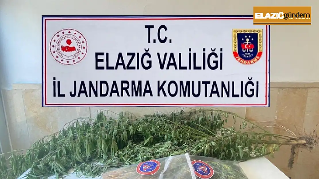 Elazığ'da varil içerisine zulalanmış kenevir ele geçirildi