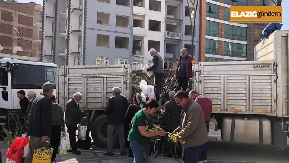 Elazığ'da vatandaşlara ücretiz fidan dağıtıldı