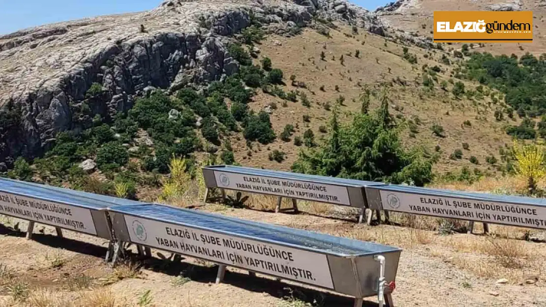 Elazığ'da yaban hayatı için su yalakları oluşturuldu