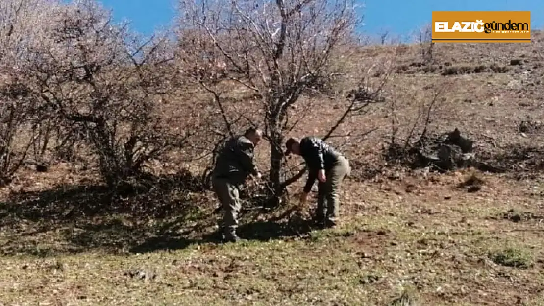 Elazığ'da yaban hayatı ve kaçak avcılar, fotokapanlarla tespit ediliyor