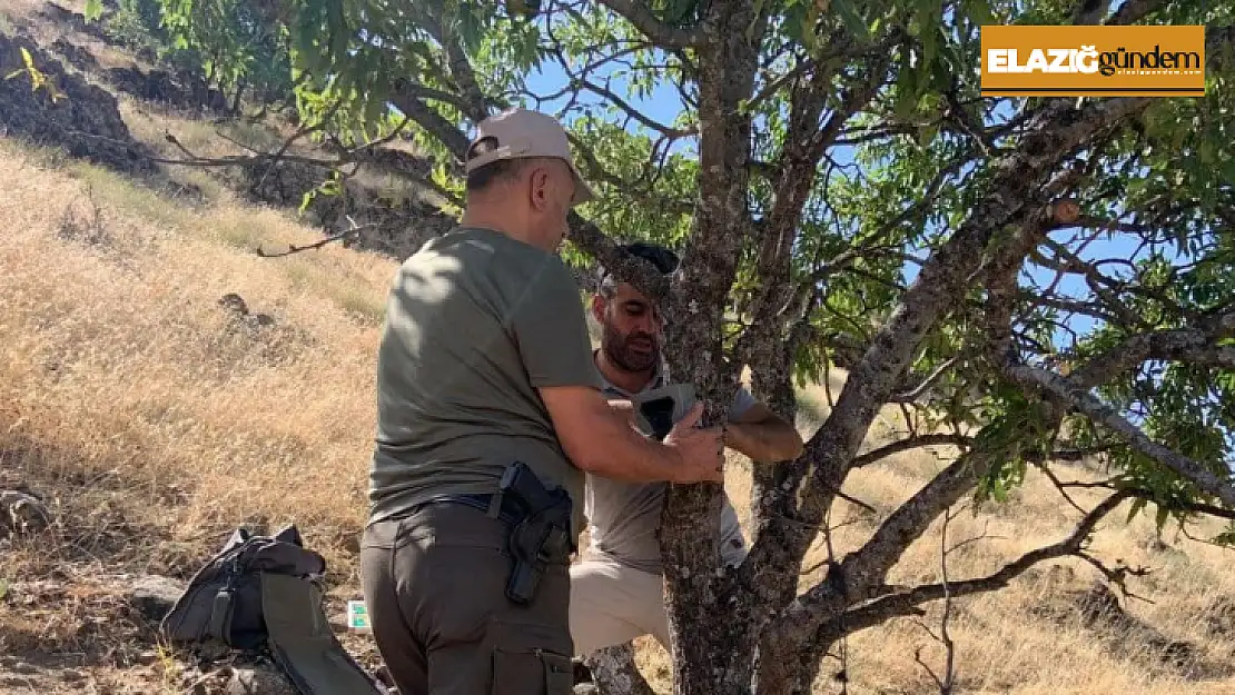 Elazığ'da yaban hayatını görüntüleyen fotokapanların bakımı yapıldı