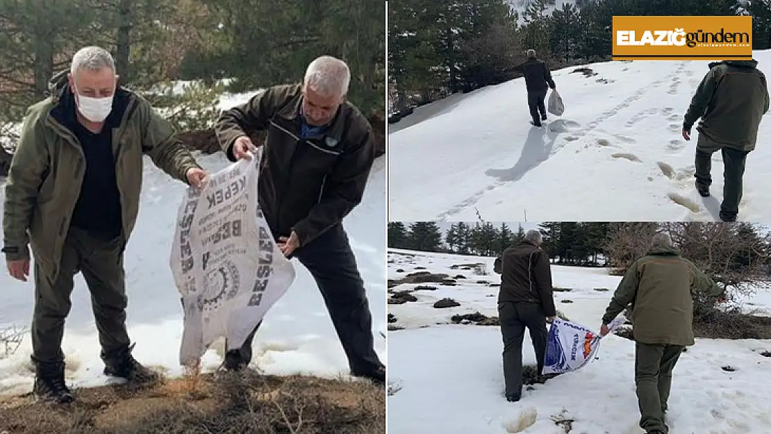 Elazığ'da yaban hayvanları için doğaya yem bırakıldı