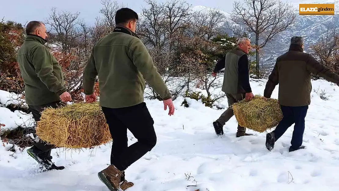 Elazığ'da yaban hayvanları için doğaya yem bırakıldı