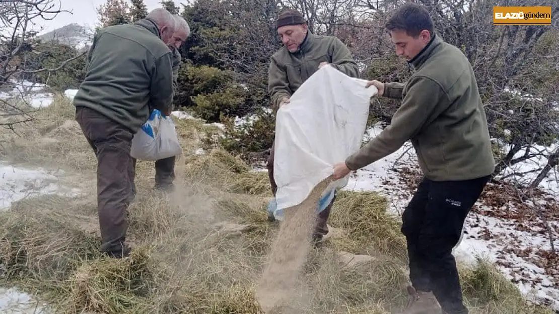 Elazığ'da yaban hayvanları için doğaya yem bırakıldı