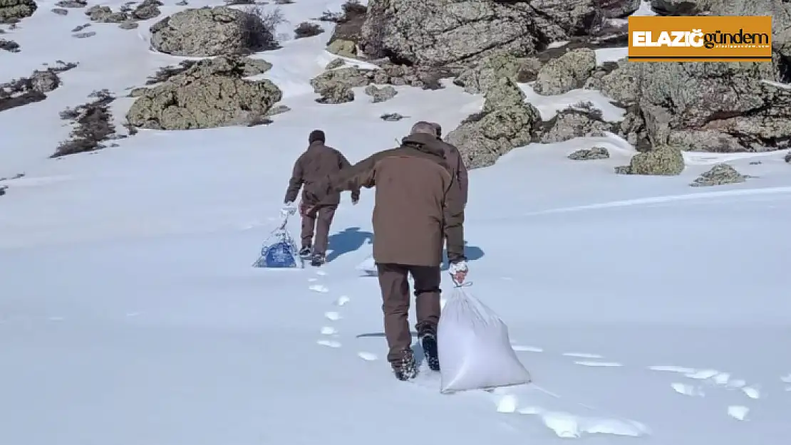 Elazığ'da yaban hayvanları unutulmuyor