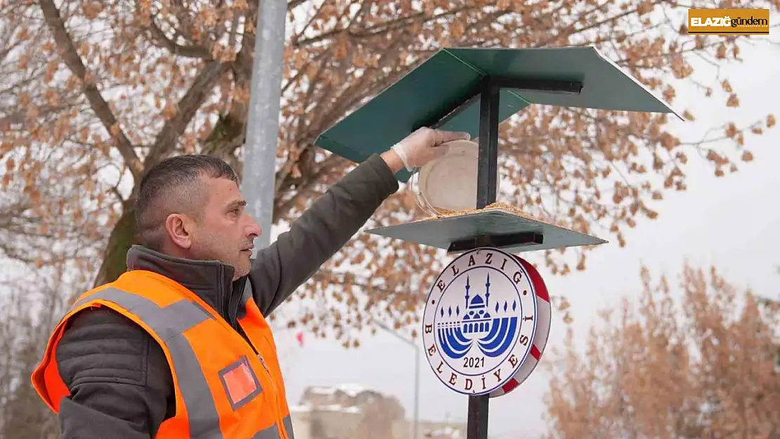 Elazığ'da yaban ve sokak hayvanlarına mama desteği